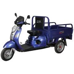 Вантажний мотоцикл Spark SP110TR-4 