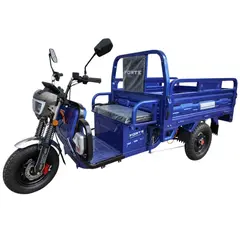 Електротрицикл вантажний FORTE JH-1200 (синій) 