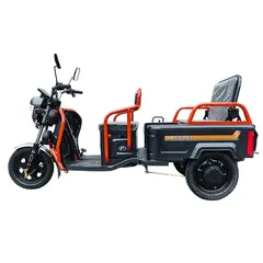 Електротрицикл вантажний FORTE GP-1000-P (чорний) 