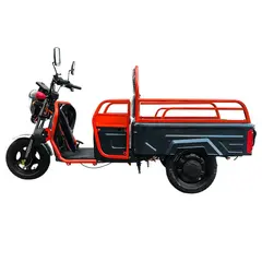 Електротрицикл вантажний FORTE GP-1000-C (чорний) 