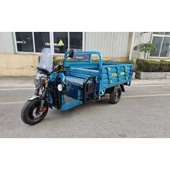 Вантажний електротрицикл SOKMOTO CARGO 2500 Вт (Гібрид) 