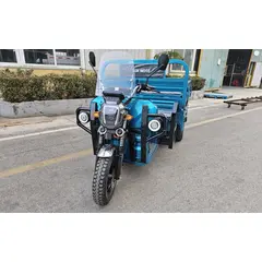Вантажний електротрицикл SOKMOTO CARGO MAX 2500Вт (Гібрид) 