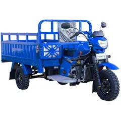 Вантажний мотоцикл FORTE ATV250ZH-T (синій) 