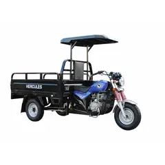 Вантажний мотоцикл ГЕРКУЛЕС Q1-R 200 
