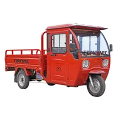 Трицикл електричний вантажний ГЕРКУЛЕС PK-4 Electro 