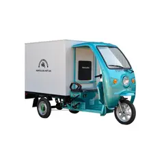 Трицикл електричний вантажний ГЕРКУЛЕС WJ160 Electro CB 