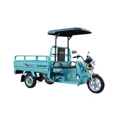 Трицикл електричний вантажний ГЕРКУЛЕС WJ160 Electro R 