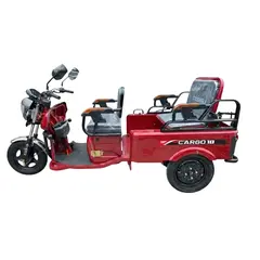 Електротрицикл вантажний 1000W CARGO 10" 60V 32Ah червоний 