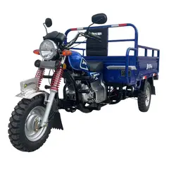Бензиновий трицикл DOZER Model 200 