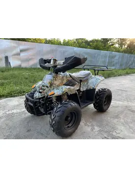 Квадроцикл Bizon BS125-7 