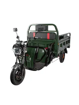 Трицикл електричний вантажний TRIGO JJ1.6 1000W/60V/50AH(DZM) (зелений) 