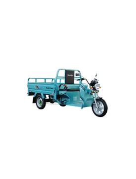 Трицикл електричний вантажний Геркулес WJ160 Electro S 