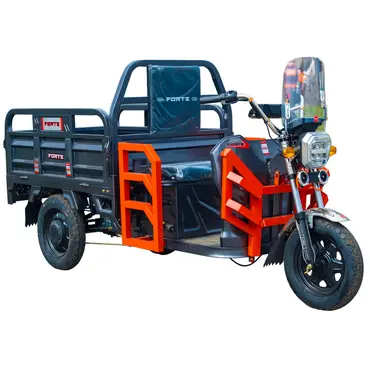 Електротрицикл вантажний FORTE GP-1100-A (сірий) 