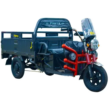 Електротрицикл вантажний FORTE GP-1150-A (сірий) 