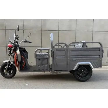 Електротрицикл вантажний FORTE GP-1000-D (сірий) 