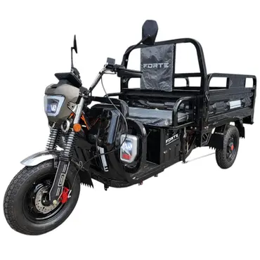 Електротрицикл вантажний FORTE JH-1200 (Чорний) 