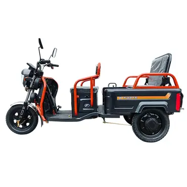 Електротрицикл вантажний FORTE GP-1000-P (чорний) 