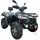 Квадроцикл LINHAI LH400ATV-D EFI PROMAX (сірий) 