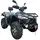 Купить Квадроцикл LINHAI LH400 ATV PROMAX 4x4 EFI (черный)