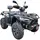 Квадроцикл LINHAI LH500ATV-D EFI PROMAX (Чорний) 