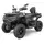 Квадроцикл Linhai Landforce 550L 