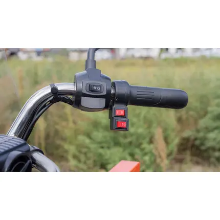 Електротрицикл вантажний FORTE GP-1500-C (сірий) Електротрицикл вантажний FORTE GP-1500-C (сірий)[image_num]