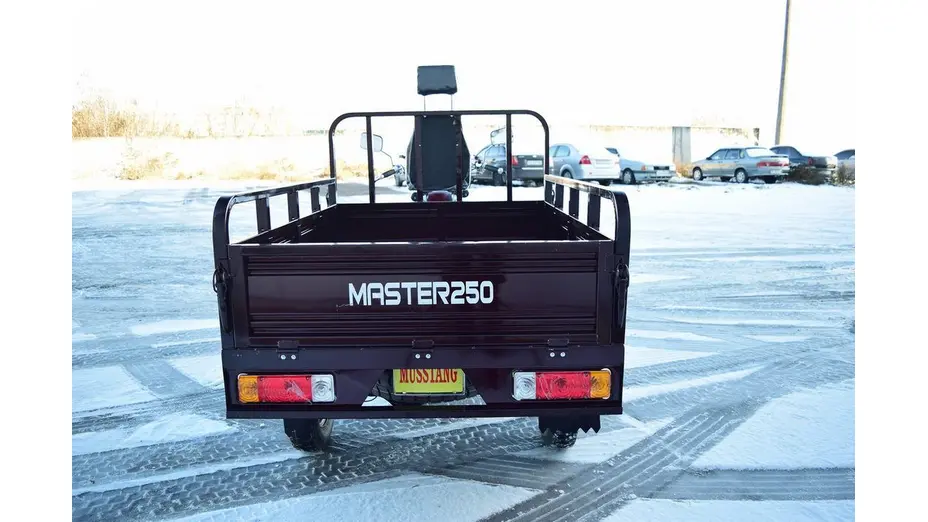 Вантажний мотоцикл Musstang MT250-4V Вантажний мотоцикл Musstang MT250-4V[image_num]