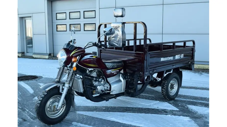 Вантажний мотоцикл Musstang MT250-4V Вантажний мотоцикл Musstang MT250-4V[image_num]