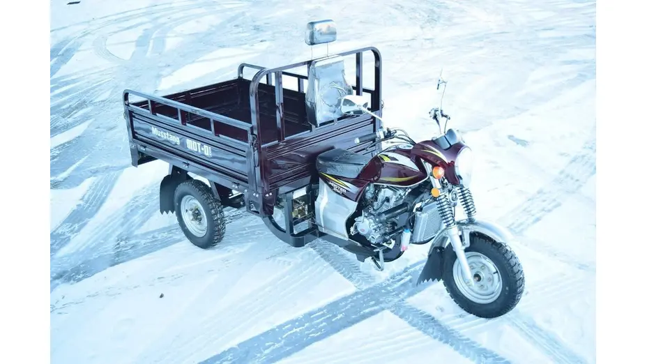 Вантажний мотоцикл Musstang MT250-4V Вантажний мотоцикл Musstang MT250-4V[image_num]