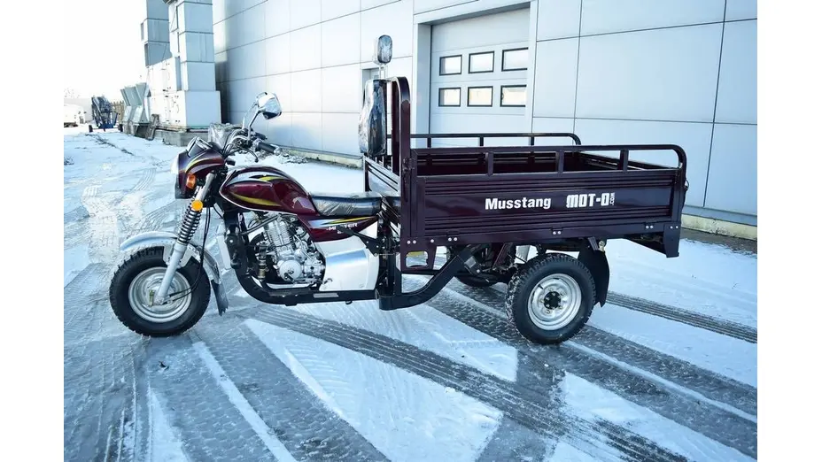Вантажний мотоцикл Musstang MT250-4V Вантажний мотоцикл Musstang MT250-4V[image_num]