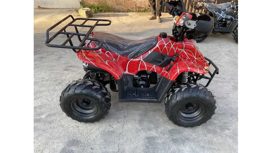 Квадроцикл Bizon BS125-7 Квадроцикл Bizon BS125-7[image_num]