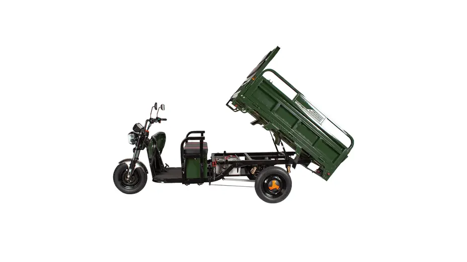 Купить Трицикл электрический грузовой TRIGO JJ1.6 1000W/60V/35AH(DZM) (зеленый)Трицикл электрический грузовой TRIGO JJ1.6 1000W/60V/35AH(DZM) (зеленый)[image_num]