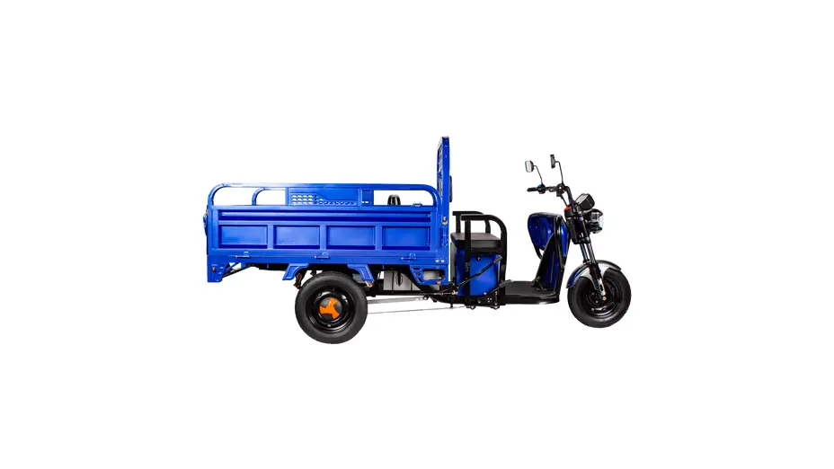 Купить Трицикл электрический грузовой TRIGO JJ1.6 1000W/60V/35AH(DZM) (синий)Трицикл электрический грузовой TRIGO JJ1.6 1000W/60V/35AH(DZM) (синий)[image_num]