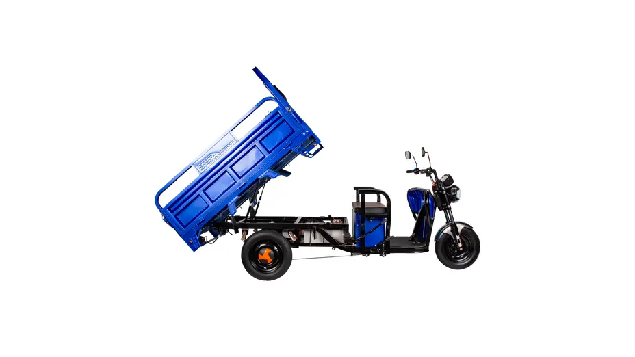 Купить Трицикл электрический грузовой TRIGO JJ1.6 1000W/60V/35AH(DZM) (синий)Трицикл электрический грузовой TRIGO JJ1.6 1000W/60V/35AH(DZM) (синий)[image_num]