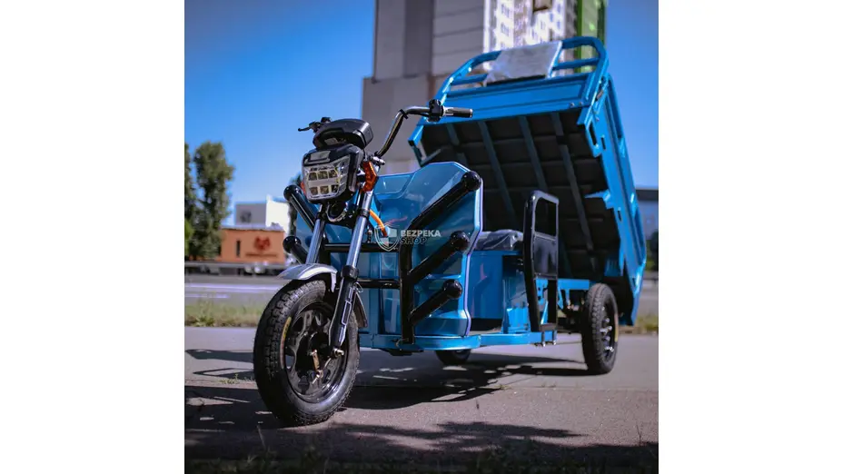 Купить Электротрицикл грузовой Renegade ET30 1200W 60V/45AhЭлектротрицикл грузовой Renegade ET30 1200W 60V/45Ah[image_num]