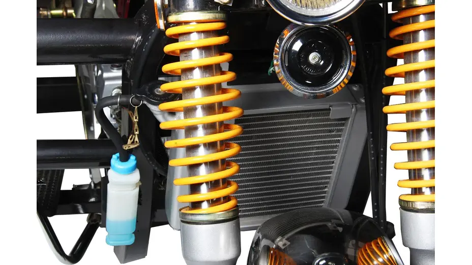 Вантажний мотоцикл Musstang MT250-4V Вантажний мотоцикл Musstang MT250-4V[image_num]