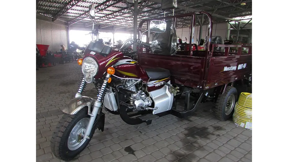 Вантажний мотоцикл Musstang MT200-4V Вантажний мотоцикл Musstang MT200-4V[image_num]